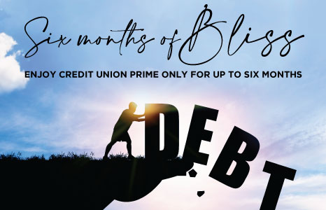 Six Months of Bliss Line of Credit Promotion